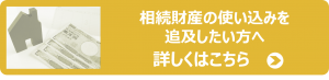 財産の使い込み追求したい